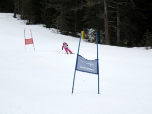 IMG_0135